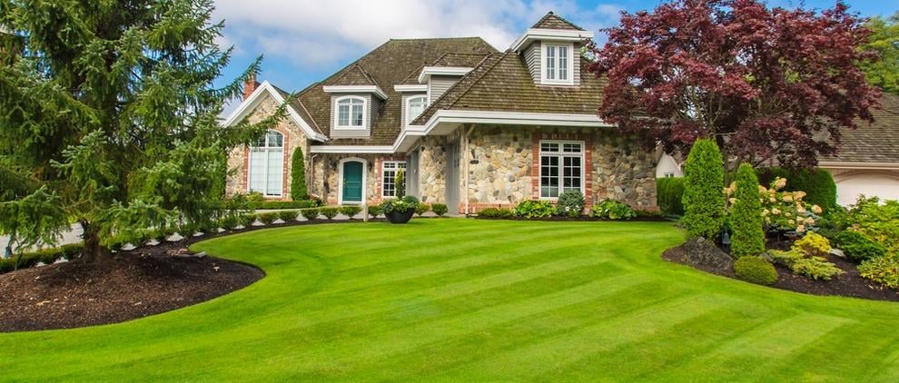 Collegiate Lawn Care Services