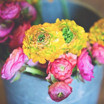 Photos for Blumengärten - Yelp