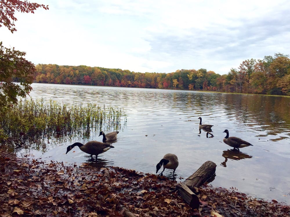 Burke Lake Park