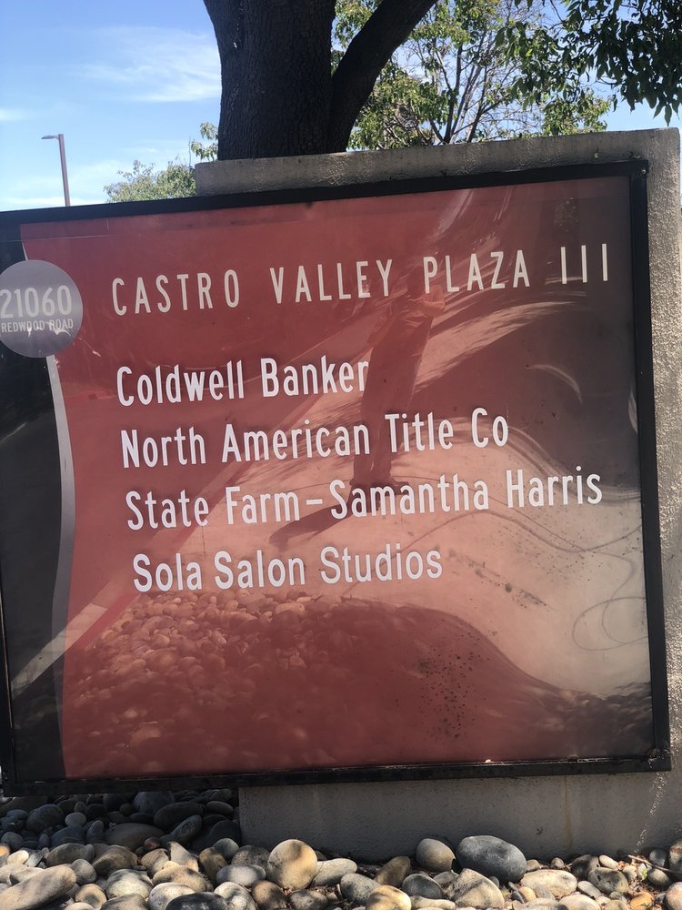 Castro Valley Plaza III