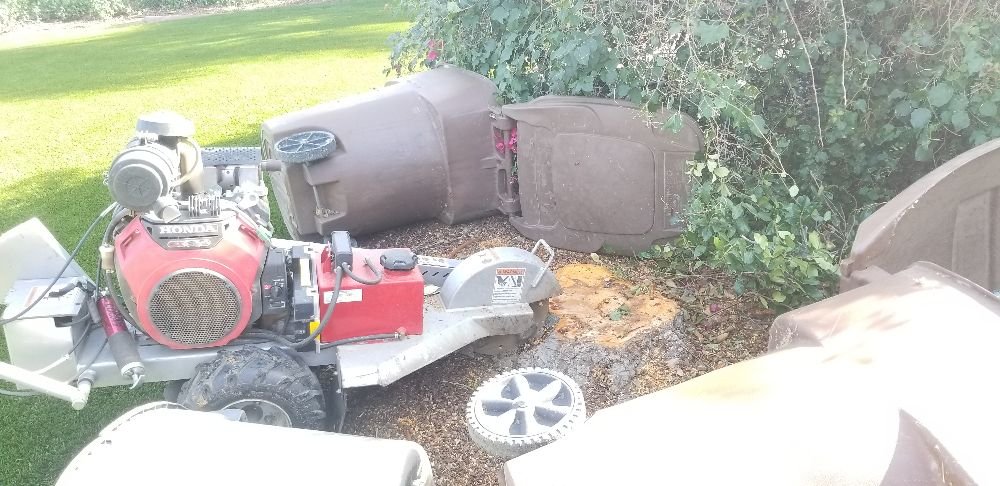 Orange County Tree Services