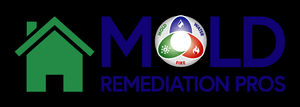 Mold Remediation and Water Restoration Pros