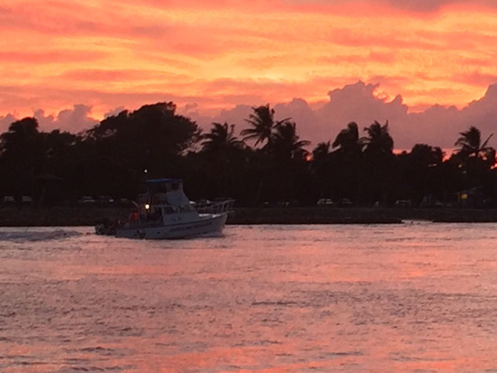 Jupiter Dive Center 29 Photos & 20 Reviews Scuba Diving 1001 N