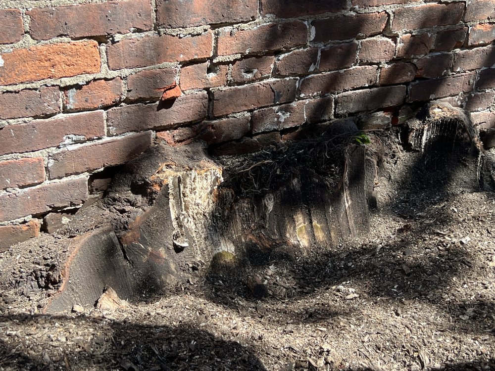 DK Stump Grinding