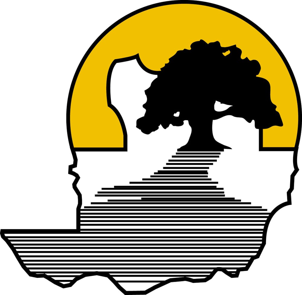 Solano Shade Tree