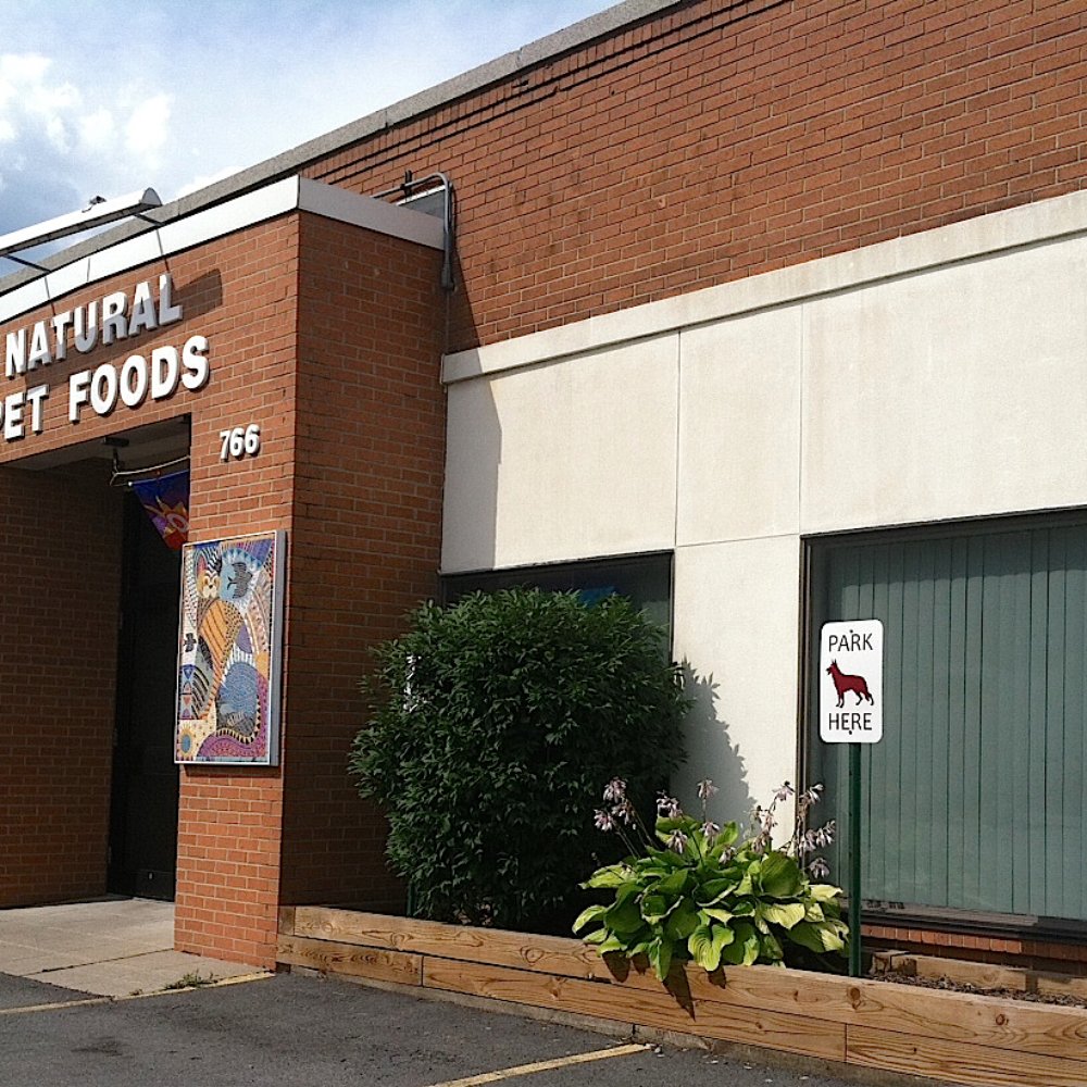 Dog Friendly Rochester Yelp