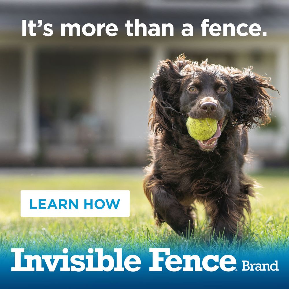 Invisible Fence of North Florida Image