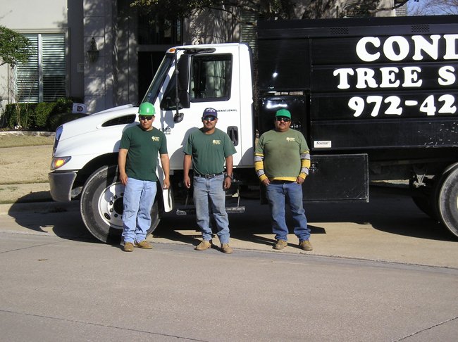 Condren Tree Service