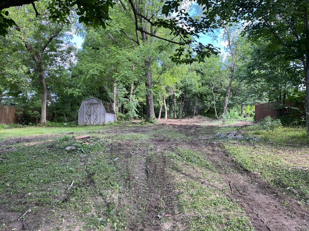 Black River Tree Removal