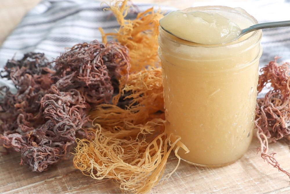 La Miel Jireh Honey Shop
