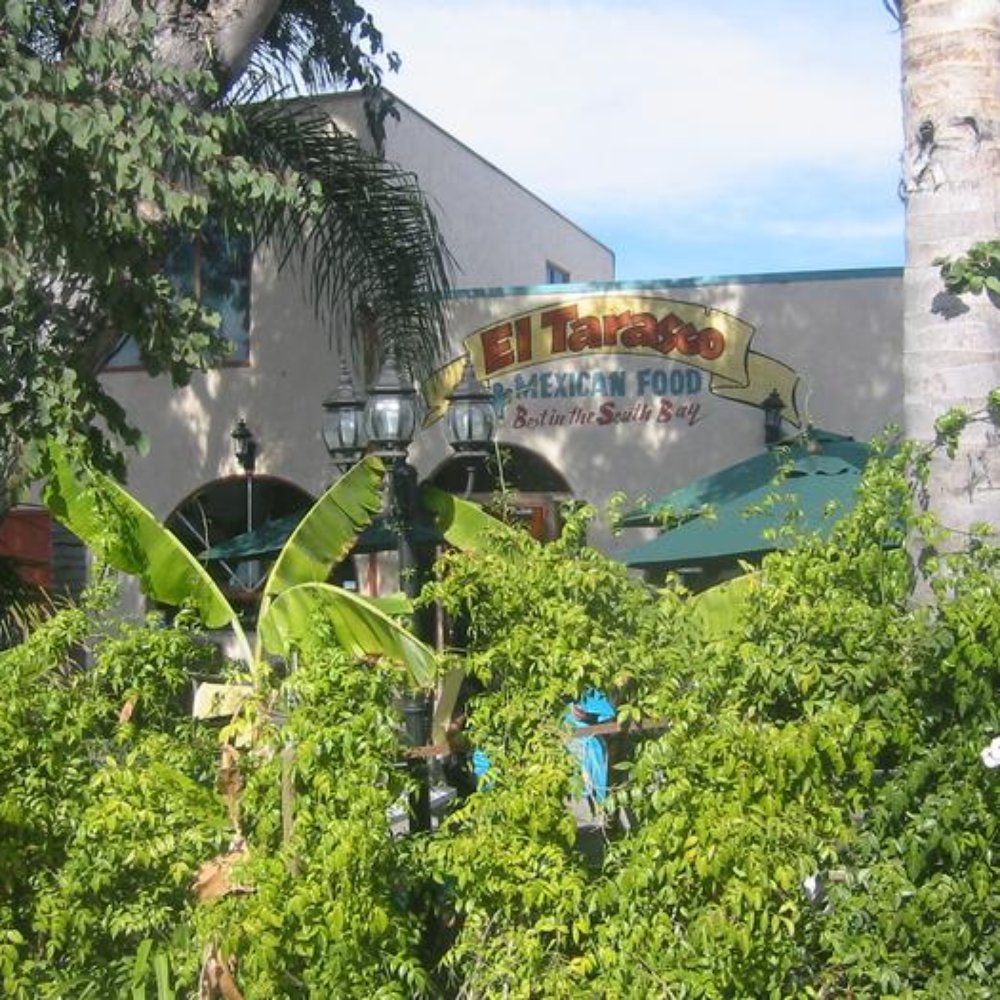 El Segundo Lunch Yelp