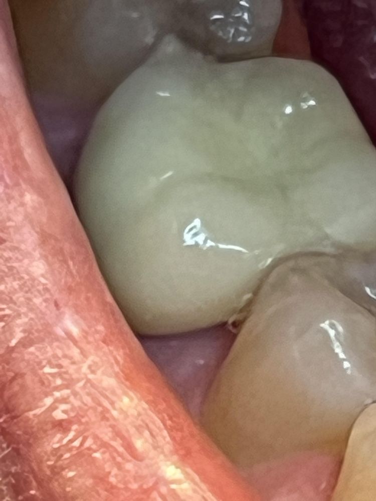 image of business Sun City Dentistry