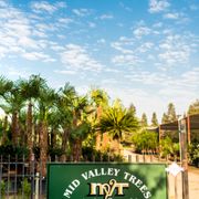 Monrovia Nursery Viveros Y Jardinería 32643 Road 196 Woodlake Mid Valley Trees