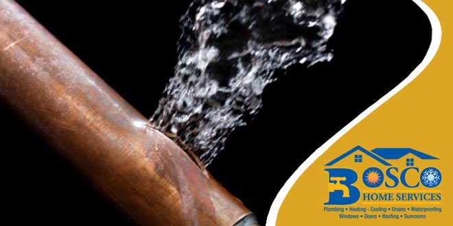 Bosco Home Services