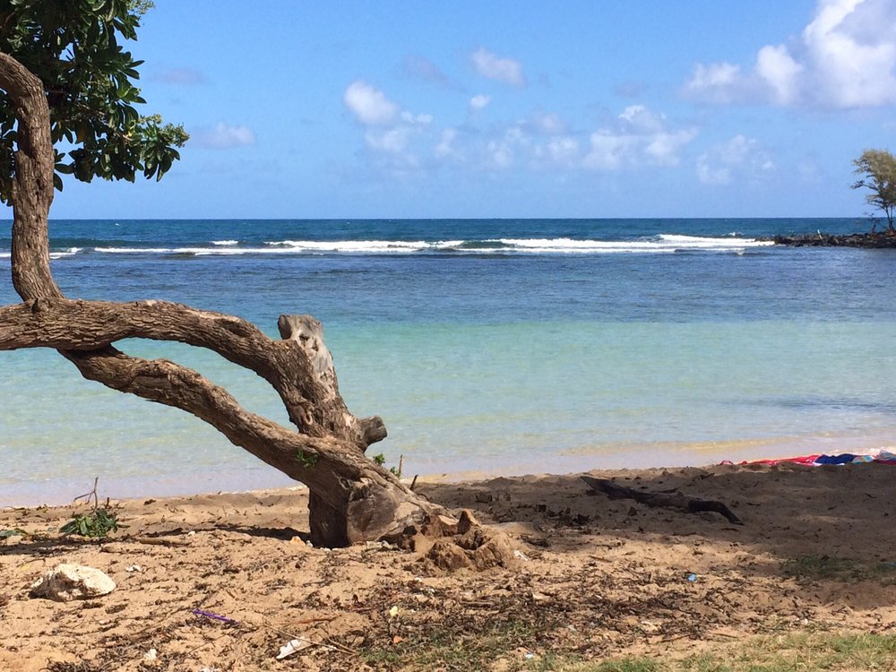 Anahola Beach Park 10 Reviews Beaches Kilauea, HI Yelp