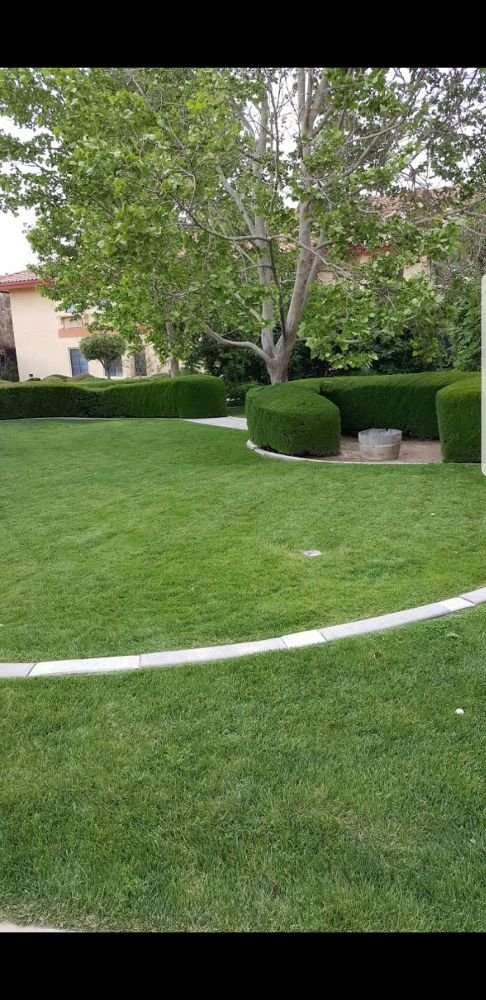 Commercial Building Looking Nice And Green Yelp Photo Of Rodriguez Landscape And Maintenance Apple Valley Ca United States Commercial