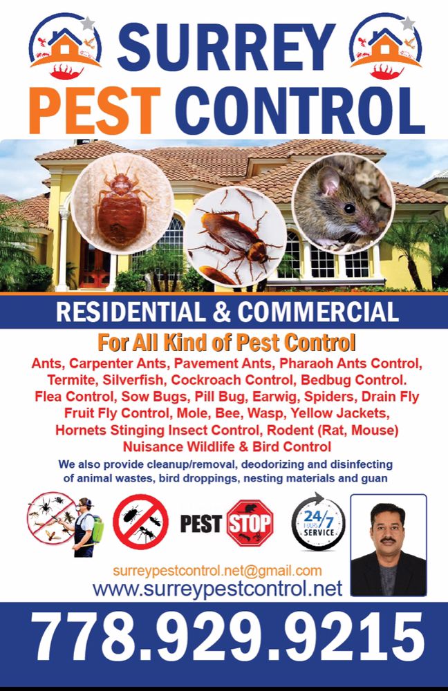 Surrey Pest Control