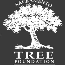 Top 10 Best Craigslist Free Stuff In Sacramento Ca Last Updated