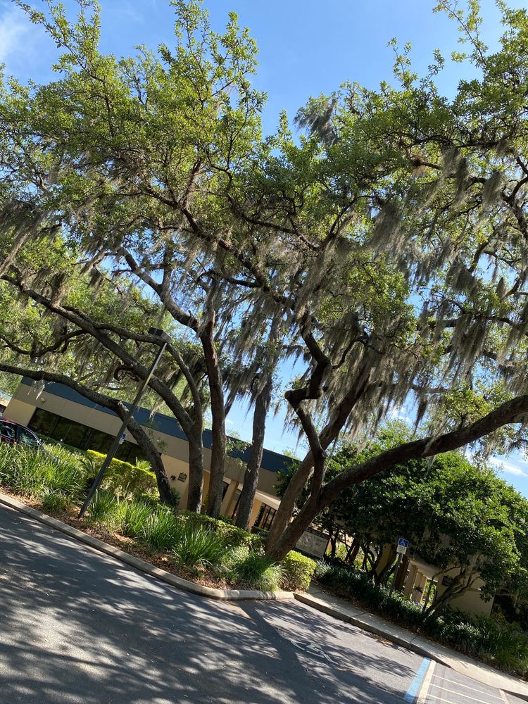 Oviedo Medical Center