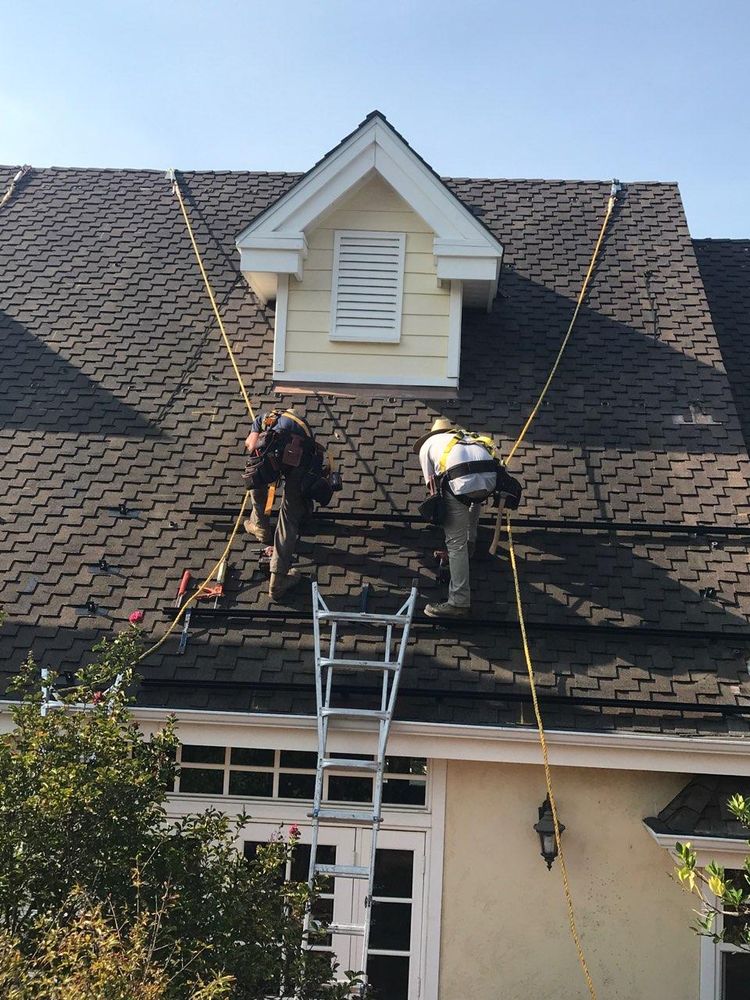 Dana Logsdon Roofing