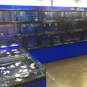 Foto Van Aquascape Fish Imports Ltd Sutton Coldfield West Midlands Verenigd Koninkrijk Foto Van Aquascape Fish Imports Ltd Sutton Coldfield West Midlands Verenigd Koninkrijk