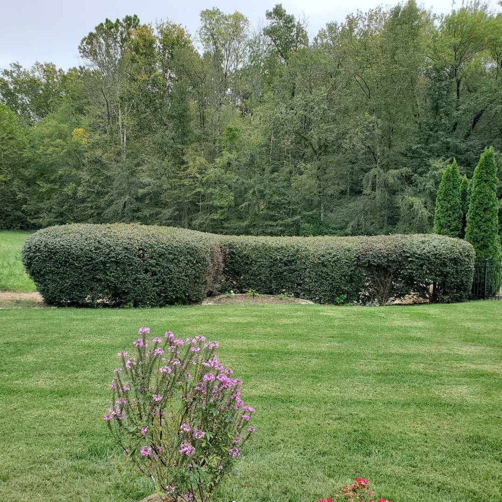 Griffin Construction