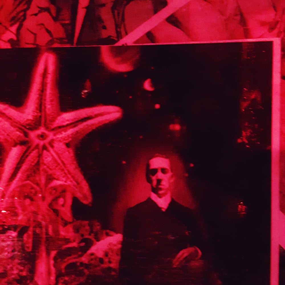 Photos for The Lovecraft Bar Yelp