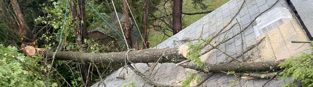 Vaughan's Tree Service and Landscaping