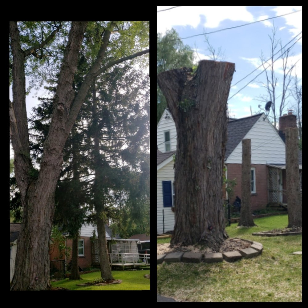 Cutting Edge Tree Service