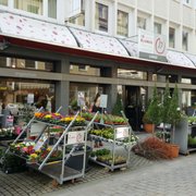 Blume 2000 14 Photos Florists Almsstr 21 Hildesheim Blumen Lange
