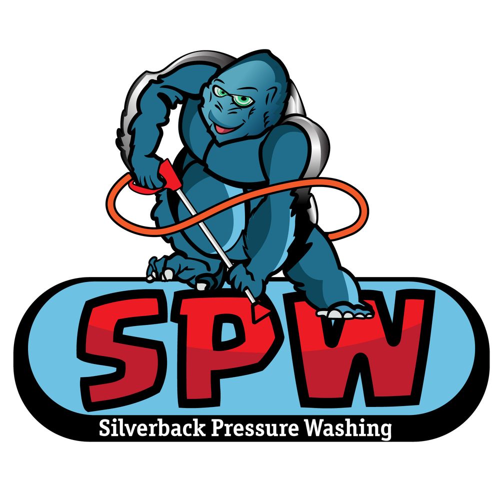 Silverback Pressure Washing