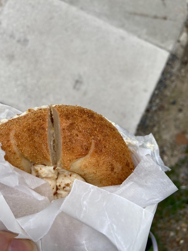 Knead Bagels Knead Bagels