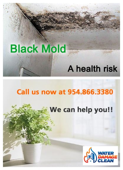 Water Damage Clean