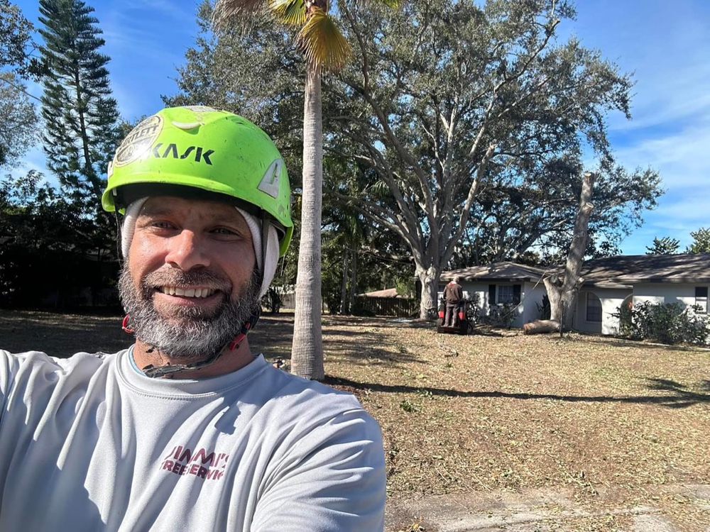 Jimmi's Tree Services
