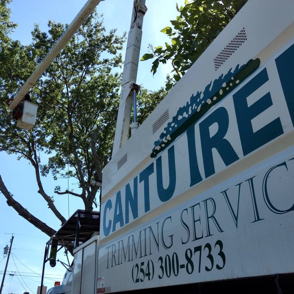 Cantu Tree Trimming Services