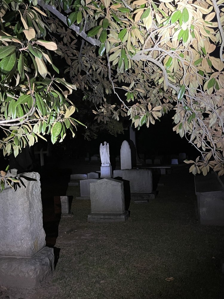 The Great Raleigh Trolley