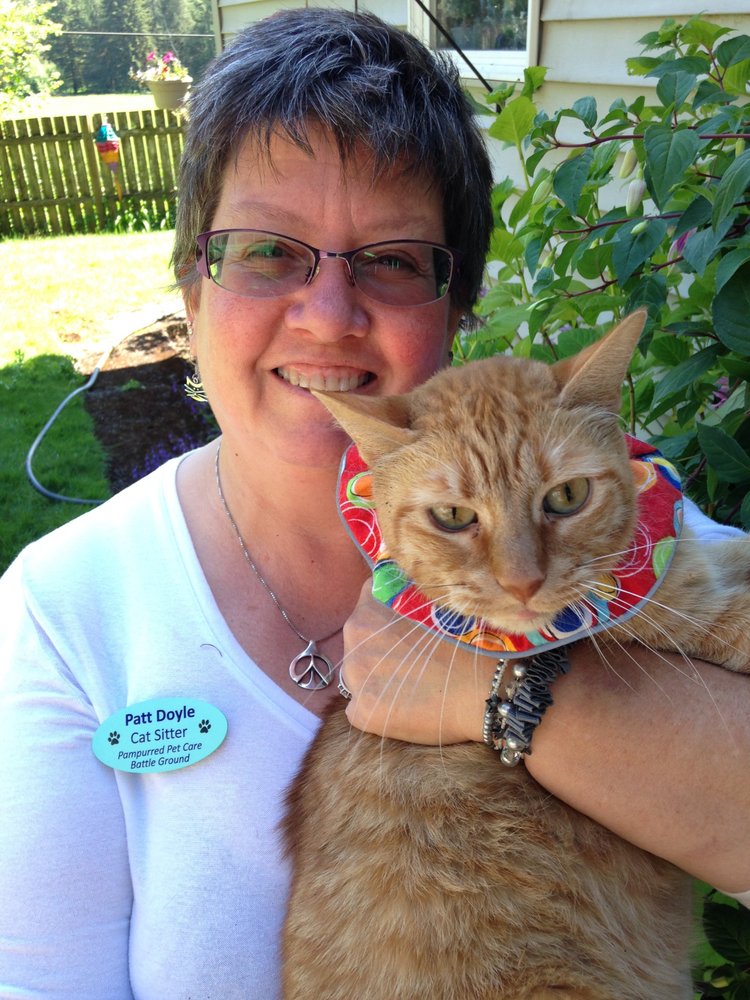 pampurred pet care pet boarding pet sitting battle ground wa pampurred pet care pet boarding pet sitting battle ground wa