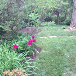 Bam S Landscaping 22 Reviews 3702 Perry Ave Photo Of Bam S Landscaping Kensington Md United States Trimmed Weeded And Mulch