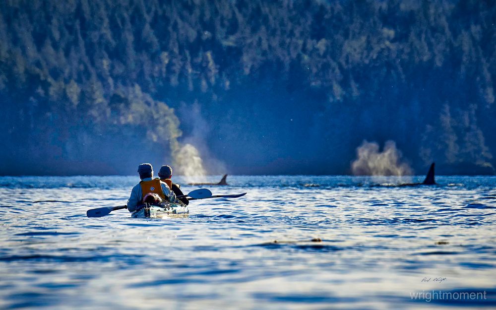 Discovery Expeditions