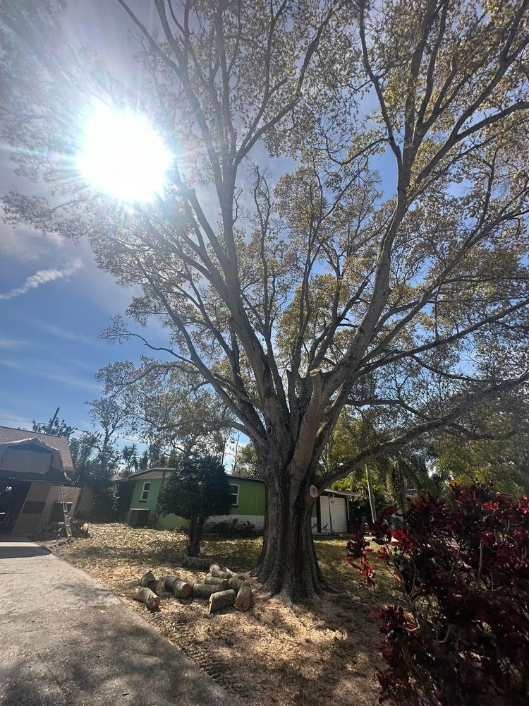 Howard's Tree & Land Development