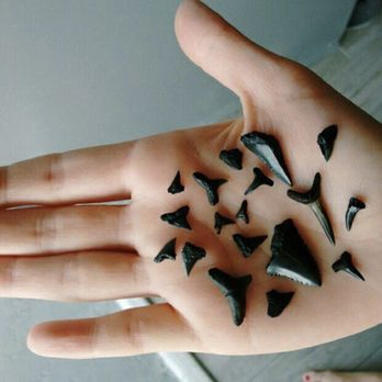 Fort Clinch State Park - 265 Photos & 61 Reviews - Venues & Event