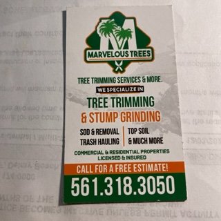 Marvelous Trees Trimming Service