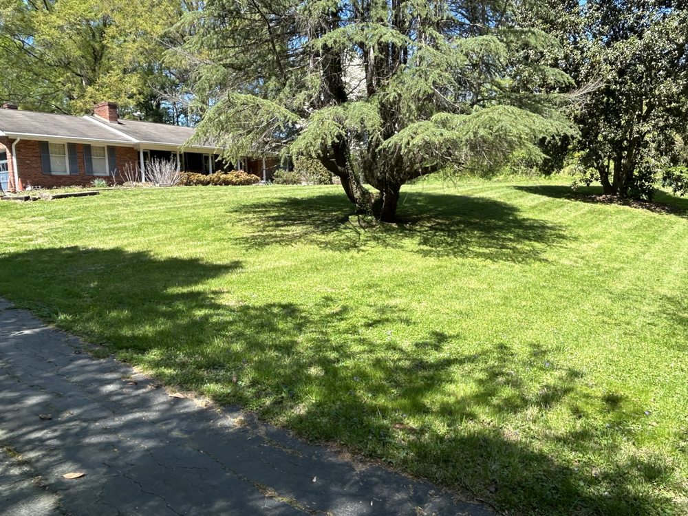 Jesses Lawn Services