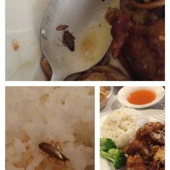 Food Places In Oroville Ca Food Places In Oroville Ca