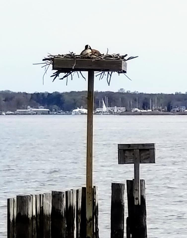 Quiet Waters Park 121 Photos & 69 Reviews Parks 600 Quiet Waters