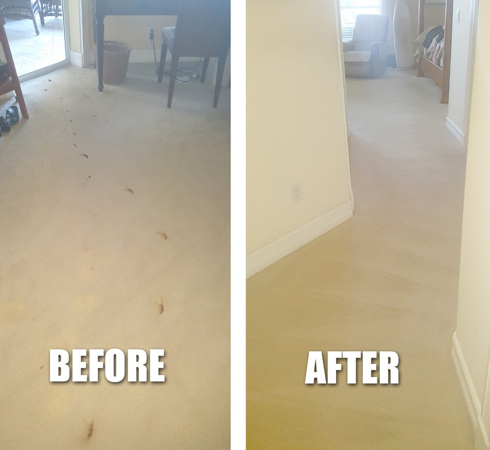 Eco Green Cleaning Solutions New 11 Photos Carpet