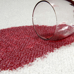 Dave S Carpet Cleaning 15 Photos 22 Reviews