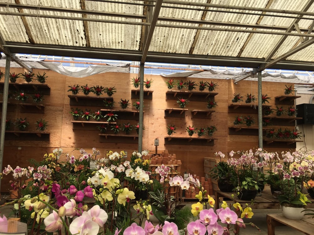 Rocket Farms Half Moon Bay, CA 2651 N Cabrillo Hwy Phone Number