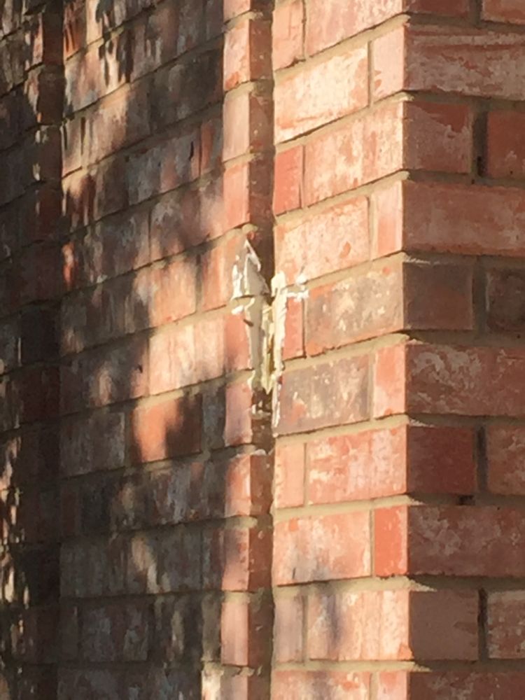 Sandhoff Services Pest and Termite