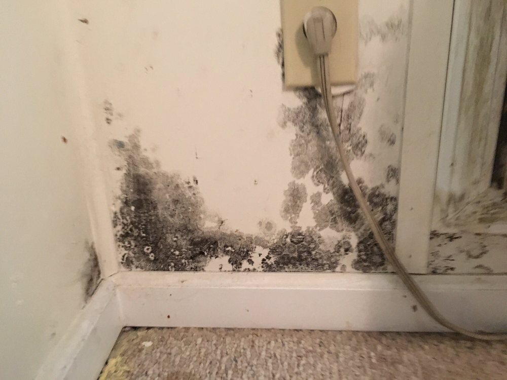 Advanced Realty Property Management